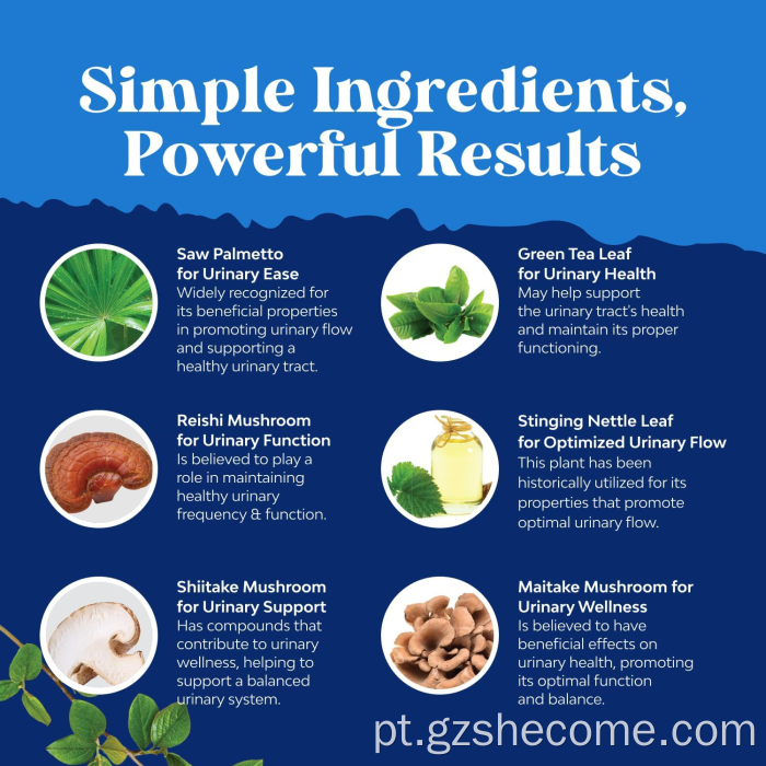 Projetos para Saw Saw Palmetto apoia a saúde da próstata